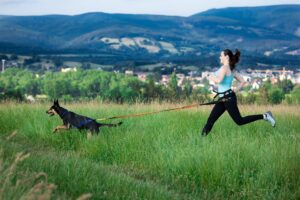 Canicross závody v Krokonších